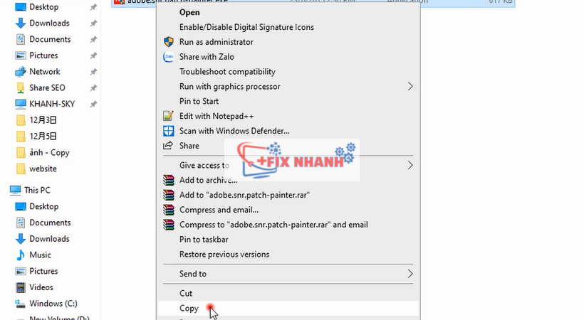 copy file như hình