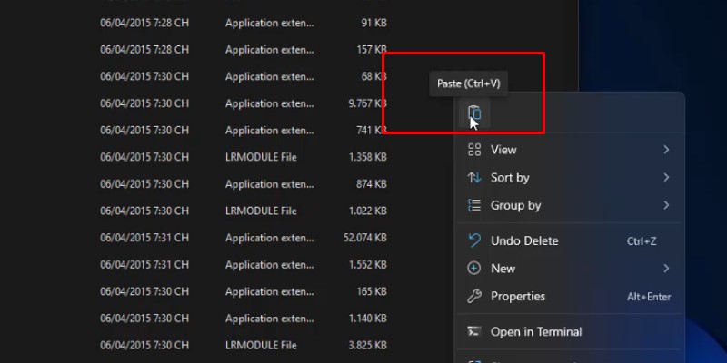 Lightroom CS6 Hướng Dẫn Cài Đặt Chi Tiết 23 Paste vào đây như hình