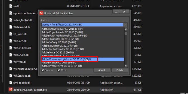 Lightroom CS6 Hướng Dẫn Cài Đặt Chi Tiết 26 chọn phiên bản lightroom như hình