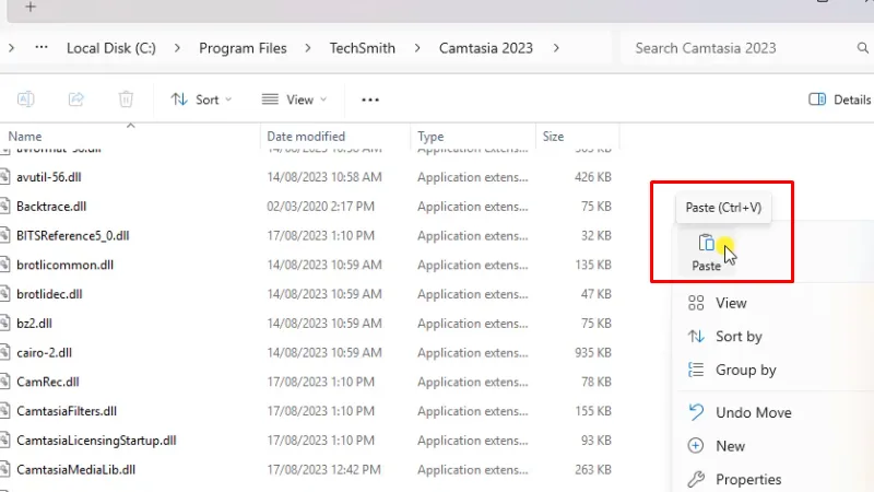 Paste vào như hình
